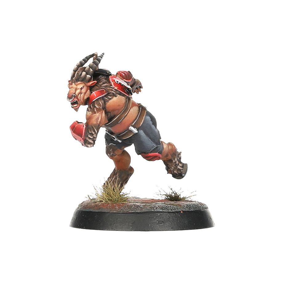 BLOOD BOWL: CHAOS CHOSEN TEAM