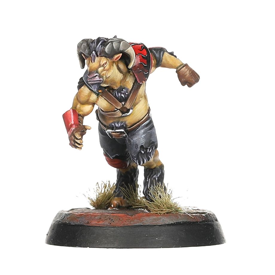 BLOOD BOWL: CHAOS CHOSEN TEAM