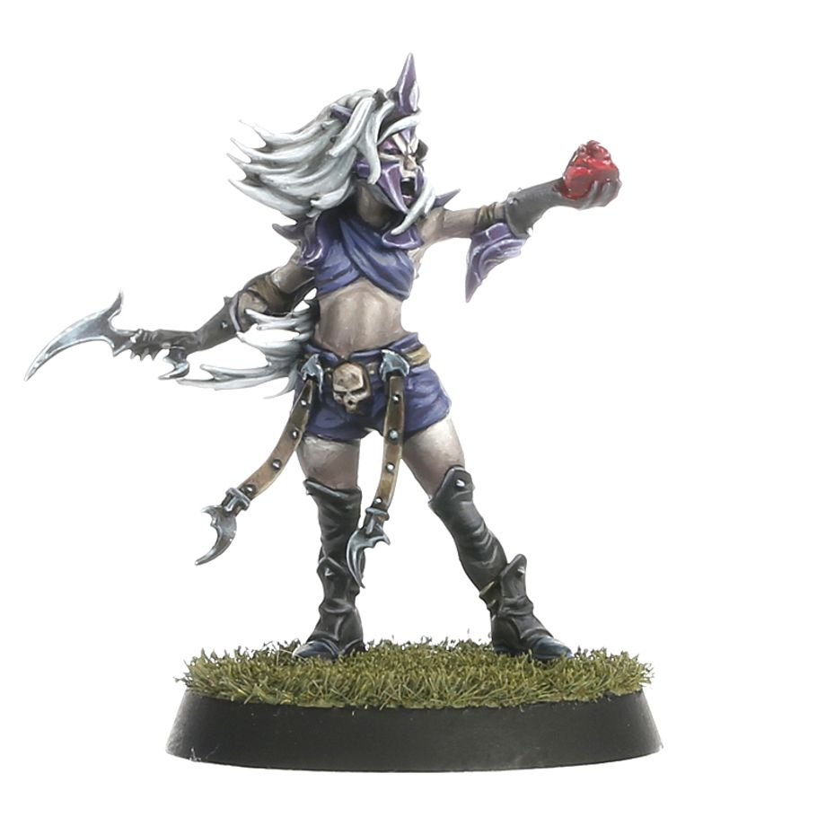 BLOOD BOWL: DARK ELF TEAM