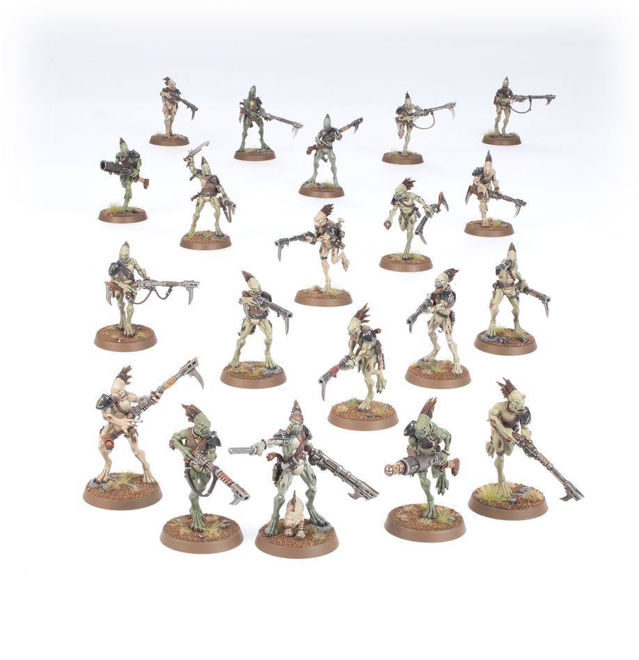 T'AU EMPIRE: Army Set (Kroot Hunting Pack)