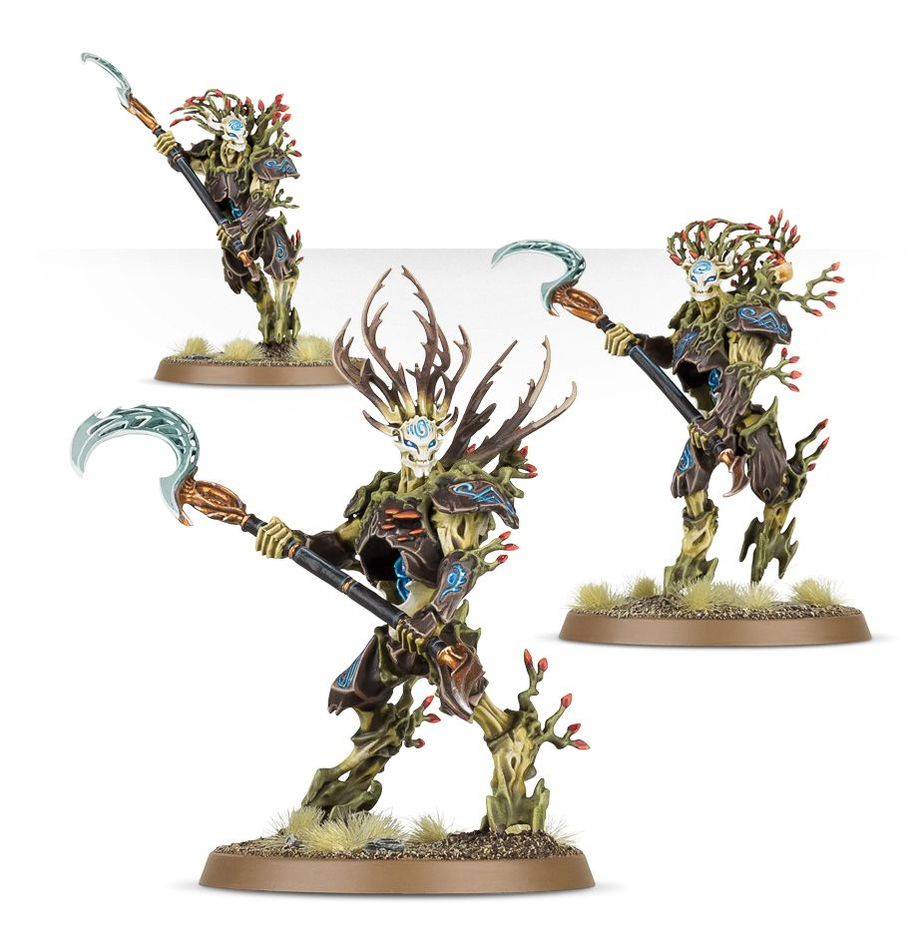 SYLVANETH: KURNOTH HUNTERS